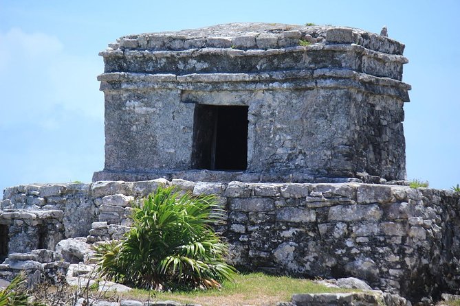 Discover Tulum, Visit Coba And Swim In A Real Mayan Cenote and Playa del carmen - Tulum’s Sea Cliffs: What to Watch For (and What Not to Expect)