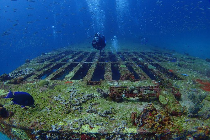 Diving in Cancun for Certified Divers | 2 Dives | All Inclusive - Price at $161.24: Value Check Before You Sign Up