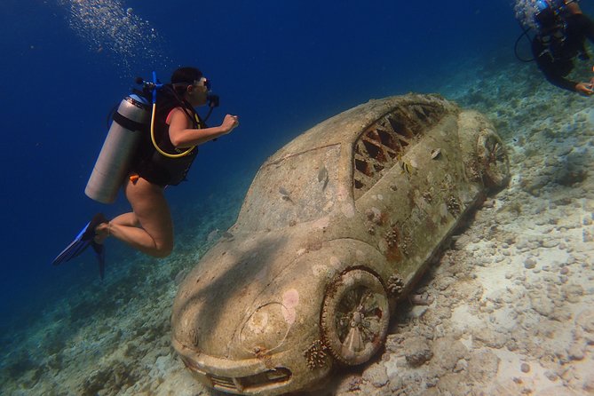 Diving in Cancun for Certified Divers | 2 Dives | All Inclusive - From Pescador to the Water: How the Morning Runs