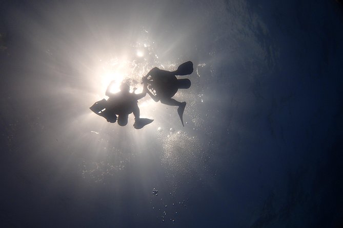 Diving in the Mexican Caribbean for Beginners | 2 Tanks 2 Dives | All Inclusive - The Boat Ride and Descent Plan (What the Timing Feels Like)