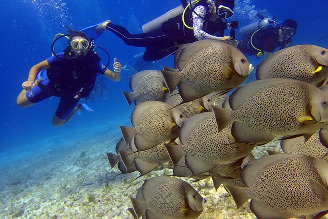 Diving in the Mexican Caribbean for Beginners | 2 Tanks 2 Dives | All Inclusive - Stop One: Museo Subacuatico de Arte (MUSA) at 10 Meters