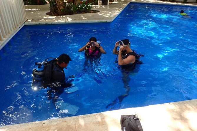 Diving in the Mexican Caribbean for Beginners | 2 Tanks 2 Dives | All Inclusive - Who Should Book This and Who Should Skip