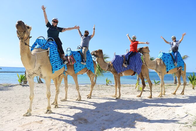 ENJOY UNIQUE CAMEL RIDE in Puerto Morelos with Transportation - How the Tour Works at El Dorado Maroma