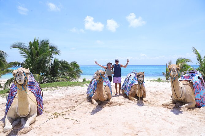 ENJOY UNIQUE CAMEL RIDE in Puerto Morelos with Transportation - Step-by-Step Itinerary: From Briefing to Beach Club