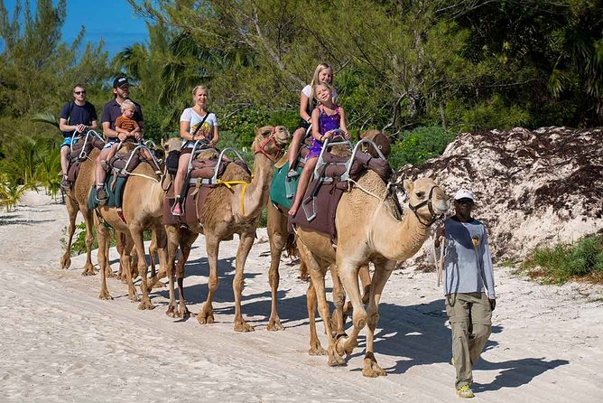 ENJOY UNIQUE CAMEL RIDE in Puerto Morelos with Transportation - Included Perks That Add Real Value