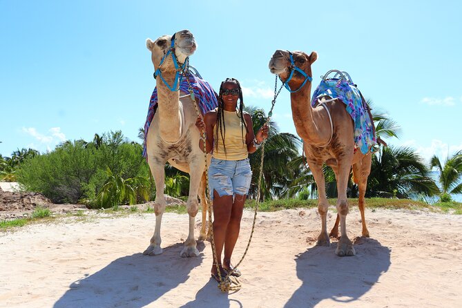 ENJOY UNIQUE CAMEL RIDE in Puerto Morelos with Transportation - Who Should Book This Camel Ride (And Who Should Skip)