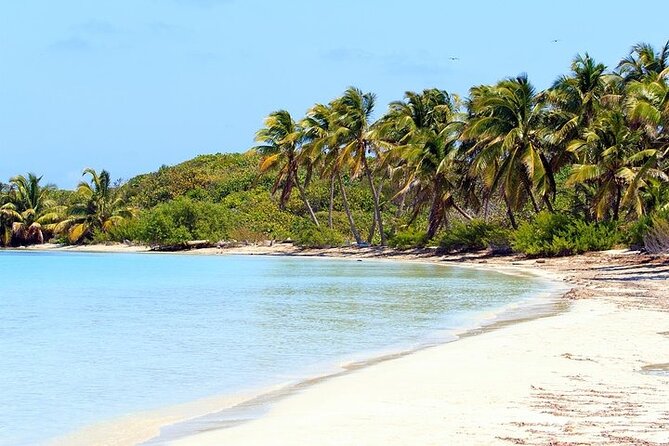 Explore Contoy Island - Cancun to Contoy and Isla Mujeres: the boat-day rhythm