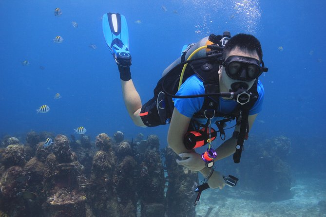 For certified Divers Experience the Under Water Museum and the Manchones Reef - Gear, PADI instruction, and why a group of 4 helps