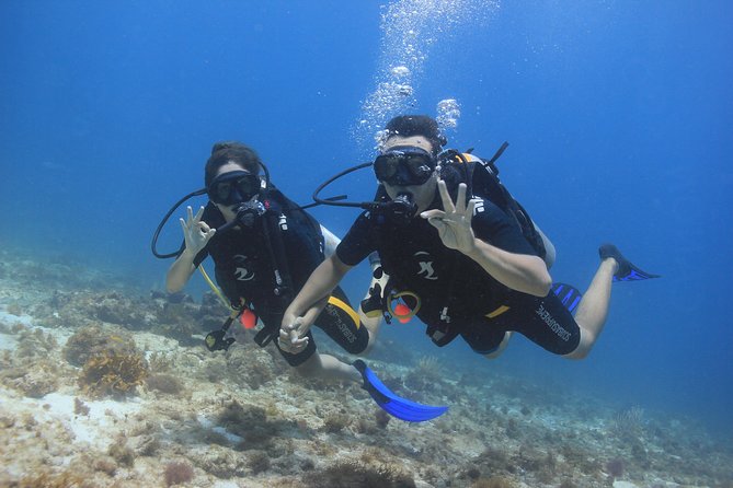 For certified Divers Experience the Under Water Museum and the Manchones Reef - Price and add-ons: what $109 covers (and what you should budget)