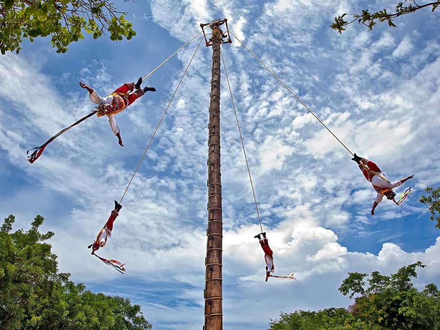 From Cancun: Complete Combo to Xcaret Park! - Aquarium, butterfly garden, and aviary: the breaks that still feel part of the day