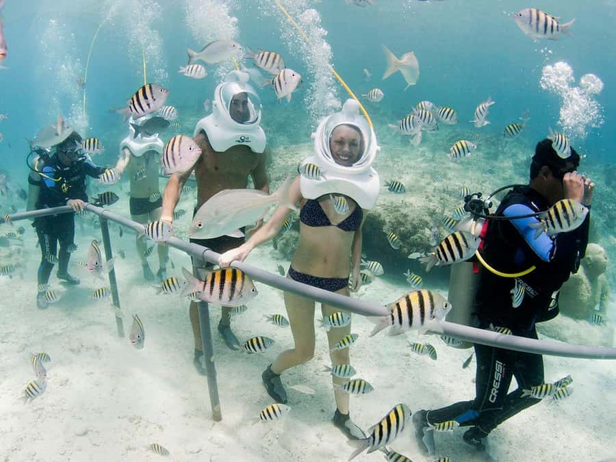 From Cancun: Complete Combo to Xcaret Park! - Beach and natural pools: where the park feels like a real vacation