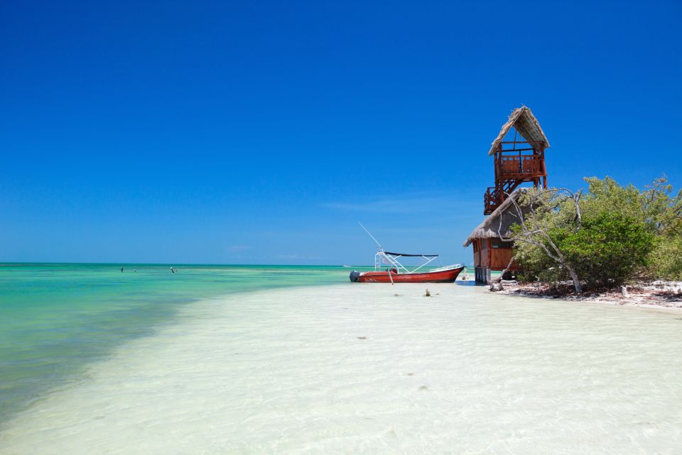 From Cancun or Puerto Morelos: Holbox Boat Tour with Lunch - Price and Logistics: Is $104 Worth It?