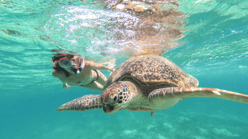 From Cancun: Tulum, Cenote and Turtle Swim Tour at Akumal - What to bring (and what not to bring)