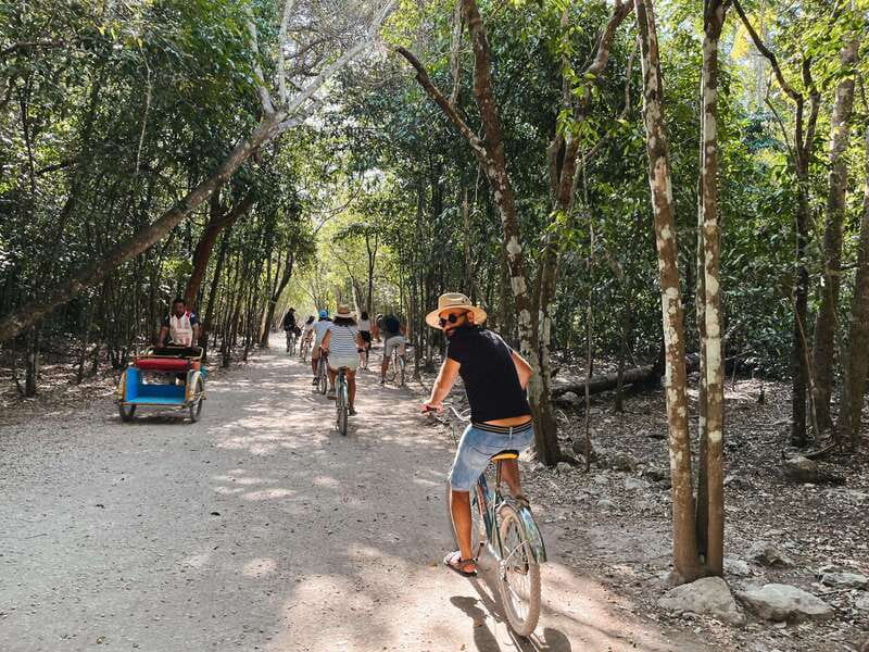From Riviera Maya: Coba, Punta Laguna & Cenote Guided Trip - The clever part: two very different wild places in one route