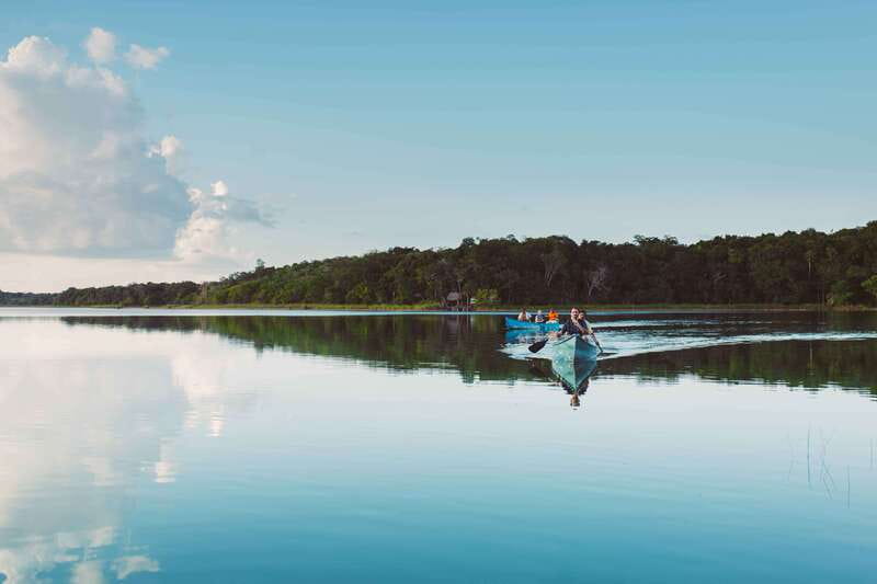 From Riviera Maya: Coba, Punta Laguna & Cenote Guided Trip - Punta Laguna: monkeys in the treetops, plus hiking or zip-line