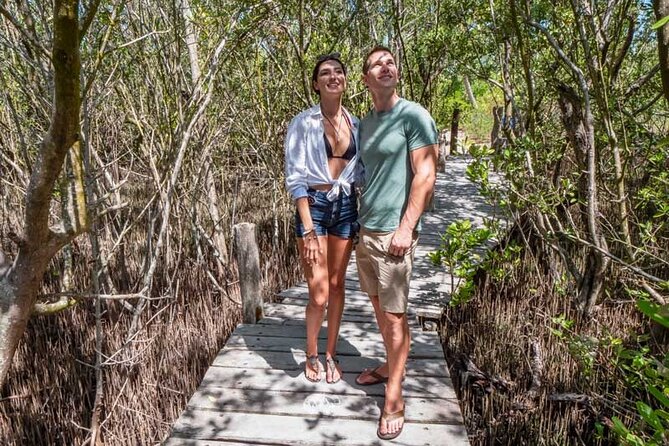 Full-Day Isla Contoy Sailing Nature Experience in Mujeres - Isla Contoy: eco tour, buffet lunch, and the calm you came for