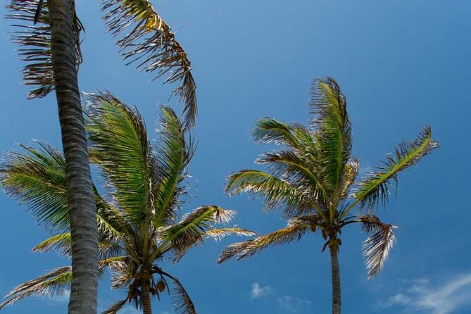 Full-Day Isla Contoy Sailing Nature Experience in Mujeres - Weather reality: rain can happen, but wind and seasickness matter