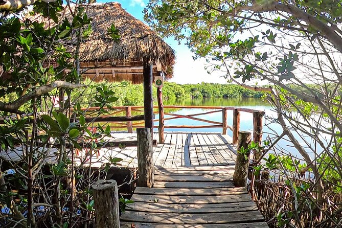 Full-Day Isla Contoy Sailing Nature Experience in Mujeres - Price and the real cost: $125.10 plus the reef tax