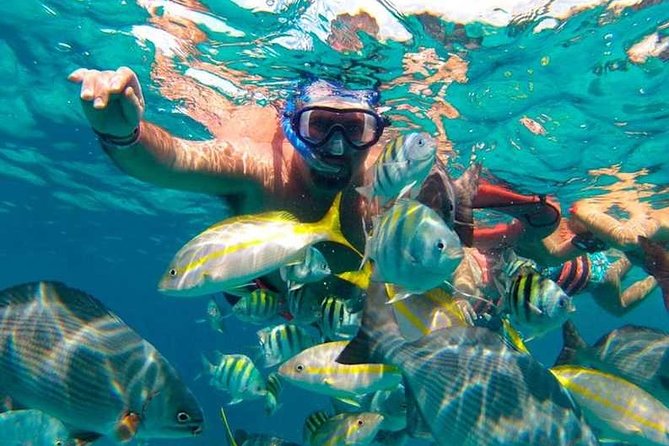 Full-Day Luxurious Catamaran Adventure - Cancún to Isla Mujeres - Snorkeling on the reef: how to make the most of the short water time