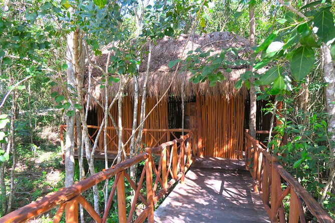 Full-Day Tour of Tulum Ruins and Cenotes with Lunch - Lunch after swimming: Mexican Mayan food that actually fuels the afternoon