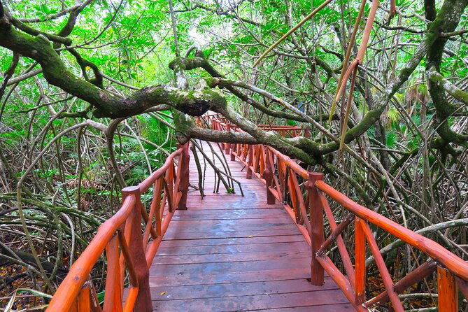Full-Day Tour of Tulum Ruins and Cenotes with Lunch - Price and value: does $126 make sense for Tulum plus multiple cenotes?