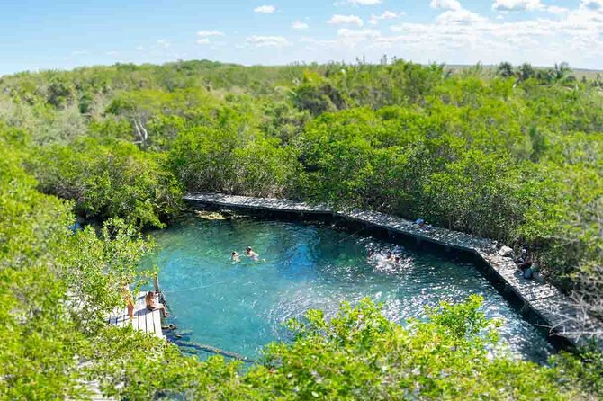 Full Day Tour to the Best of Holbox - Starting from Cancun early: timing, pickup, and what you’re signing up for
