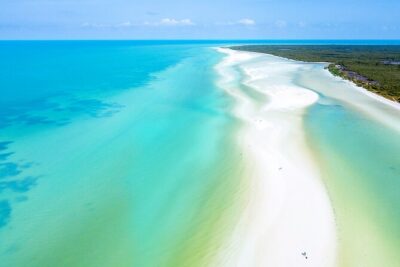 Full Day Tour to the Best of Holbox - Isla de la Pasion: a short bird-watching walk that breaks up the swim theme