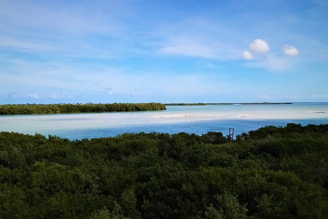 Full Day Tour to the Best of Holbox - Lunch, drinks, and the real cost of the day