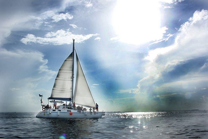Half Day “LITE TOUR” to Isla Mujeres - Punta Sam: snorkeling at the reef and the Under Water Museum view