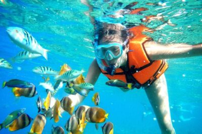 Half-Day Puerto Morelos Snorkeling Experience with Lunch - The day flow: pickup, boat ride, and how long you’ll be “on tour”