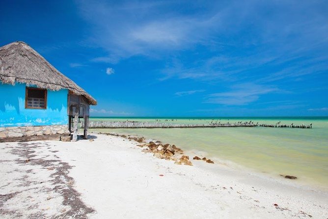Holbox Island Tour departure from Cancun - Price and the real value: $60 plus the $30 maritime balance