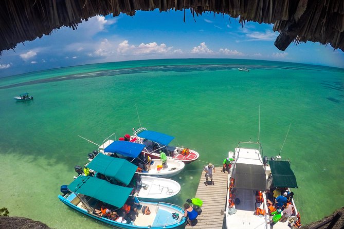 Holbox Island Tour departure from Cancun - Punta Mosquito stop: 40 minutes of nature-focused sightseeing