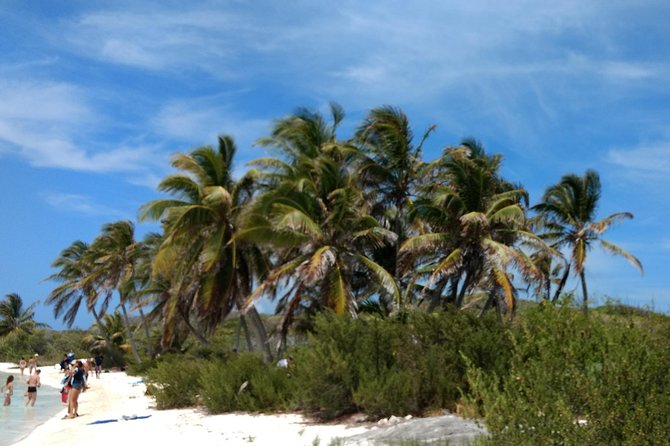 Isla Contoy and Isla Mujeres Tour with Snorkeling from Cancun - Isla Mujeres: one hour for shopping, then the party return to Cancun