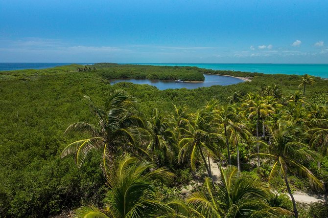 Isla Contoy and Isla Mujeres Tour with Snorkeling from Cancun - Price and value: where $163 fits, and what to budget for
