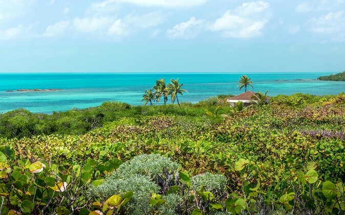 Isla Contoy Eco Adventure - Isla Contoy: what makes it different from the usual Cancun island trips