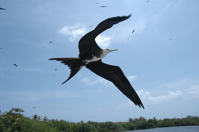Isla Contoy Eco Adventure - Your Isla Contoy walk: wildlife viewing inside reserve rules