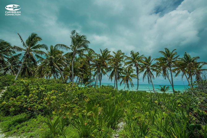 Isla Contoy Eco Adventure - Lunch, Tikinxic fish, and the open bar that changes the vibe