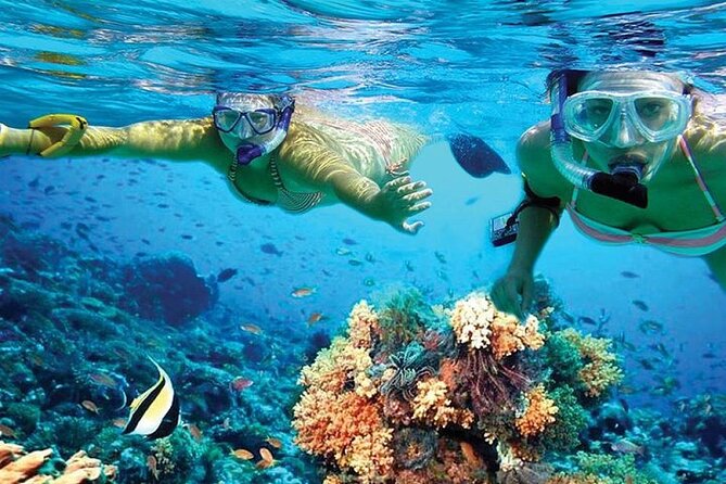 Isla Mujeres Catamaran, Open Bar & Optional Buffet and pick up - Value Check: $39 Plus Dock Tax and Tips