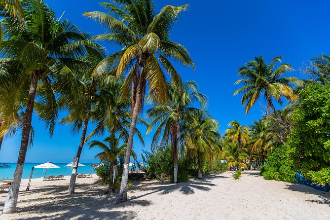 Isla Mujeres Catamaran, Open Bar & Optional Buffet and pick up - Who This Catamaran Day Trip Fits Best