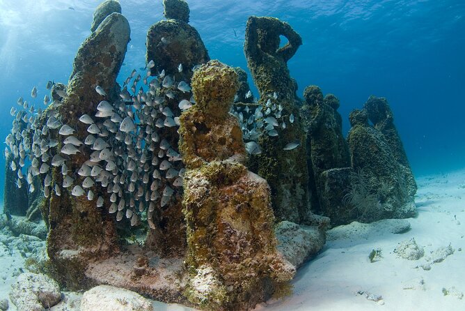Isla Mujeres Catamaran Tour with Snorkeling at MUSA, Buffet Lunch & Open Bar - Price and Value: Included Perks vs the Extra $20 USD Fee