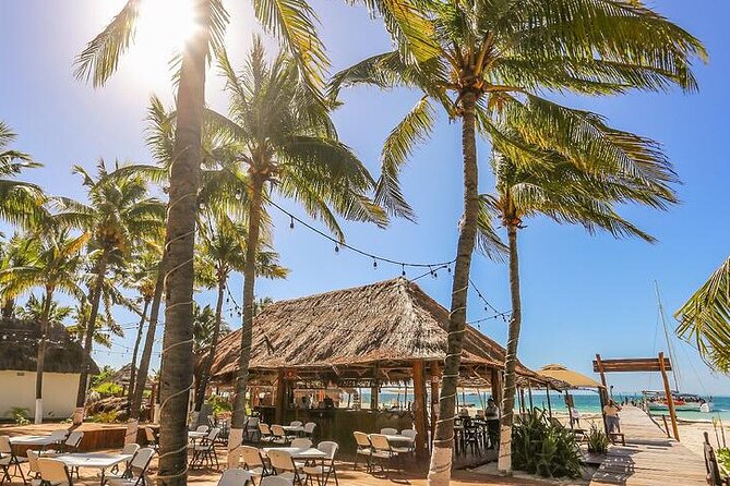 Isla Mujeres Cruise with Beach Club, Snorkel, Lunch and Open Bar - Open Bar on a Catamaran: Fun Energy, Real-World Downsides