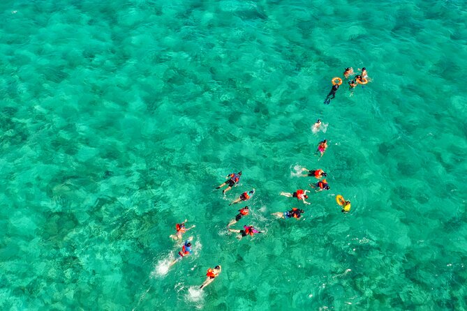 Isla Mujeres Island and Snorkeling Tour - Punta Sam reef snorkeling: the part that can make or break the day