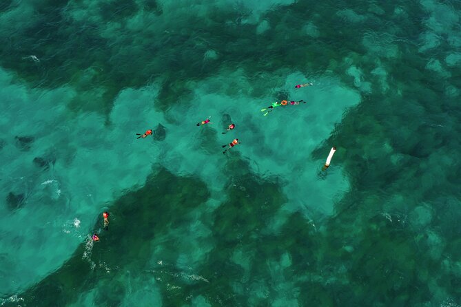 Isla Mujeres Island and Snorkeling Tour - Punta Sur cruise + beach club lunch: views by boat, then a proper meal