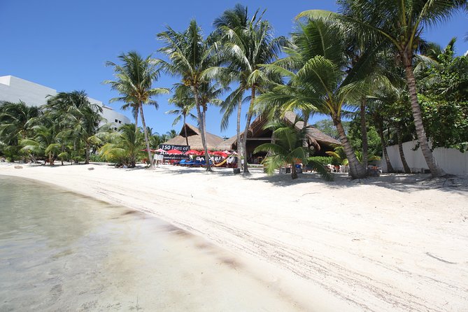 Isla Mujeres luxury catamaran with premium open bar and lunch - Price and value: why $125.10 can be a smart buy (or a miss)