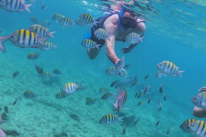 Isla Mujeres Luxury Sailing: Adults Only or Family Friendly - Lunch and drinks: what’s included, and what to expect from the food