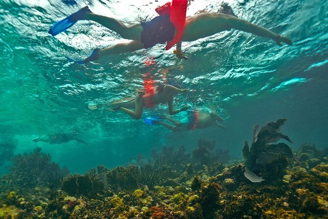 Isla Mujeres, Snorkel, Lunch & Pick Up from Cancun to P.Morelos - Why this Isla Mujeres day trip feels different from the usual ferry plan