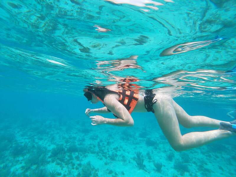 Isla Mujeres: Snorkeling Adventure at the Underwater Museum - Sac Bajo Reef: where the animal spotting gets serious