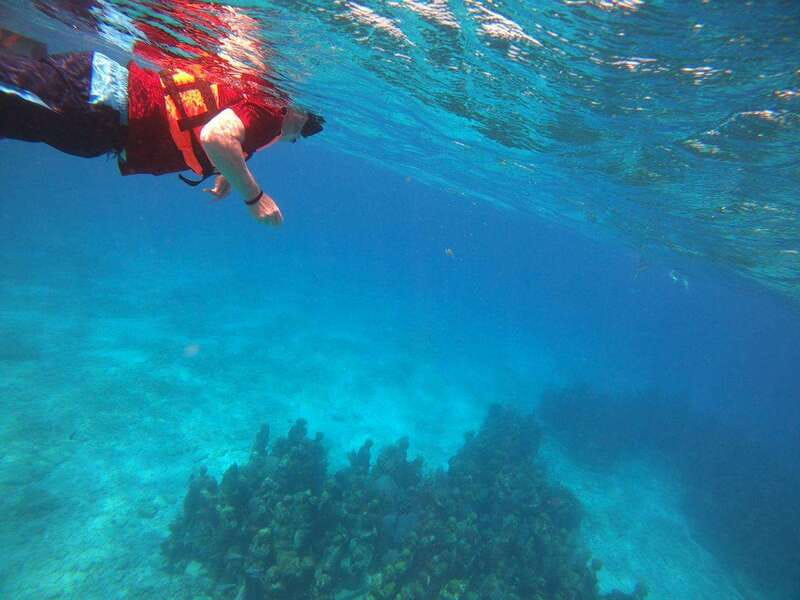 Isla Mujeres: Snorkeling Adventure at the Underwater Museum - MUSA underwater museum: art that functions like a reef