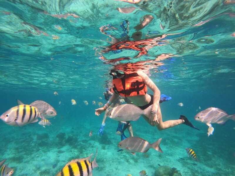 Isla Mujeres: Snorkeling Adventure at the Underwater Museum - What to bring (and what not to)
