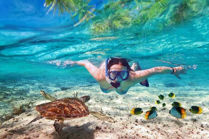 Isla Mujeres tour in a Catamaran with snorkel, open bar, lunch - A catamaran day from Marina Las Perlas to Isla Mujeres